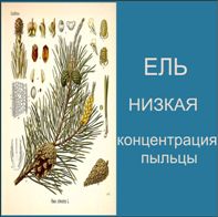 Угмк карта пыльцы